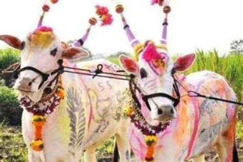 nandi decoration for pola|Bendur/Bail Pola: Date, Significance, Gratitude To  .